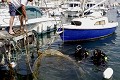 Il est fréquent, dans les ports de plaisance que la capitainerie sollicite les plongeurs pour constater la présence d’épave ou d’objets sous l’eau pouvant engendrer des dégâts ou une gêne lors du passage des bateaux. En complément des spécialistes en intervention sub-aquatique des pompiers et des gendarmes, la brigade nautique reste disponible lors d’une demande de renfort de plongeurs en cas de longues et difficiles recherches.A chaque plongée, une main courante est rédigée. Police municipale, ilotage, contrôle routier, missions de la police municipale, brigade equestre, chevaux, arrestation, violences urbaines, police de proximité, securité routière, brigade nautique, brigade moto, femmes dans la police municipale, eurolaser, scooter, contrôle de vitesse, fonctionnaire de police, policiers municipaux, violences, flagrant délit, tonfa, technique de self défense, brigade de nuit, menottage, ronde de nuit, patrouille de nuit, ivresse sur voie publique, PV, mission montagne, policiers municipaux à ski, brigades canines, mission rurale, policier municipaux en milieu rural, police des campagnes, objets trouvés, véhicules de police municipale, garde champetre, police rurale, brigade nautique de la police municipale, bateau, police des mers, eaux de baignades, bande des 300 mètres, missions littorales, mission littorale de la police municipale, plongeurs de la police municipales, mission subaquatiques 