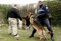 UTILISATION DES IMAGES STRICTEMENT INTERDITE SANS AUTORISATION

Pour la protection de l’image (UTILISATION INTERDITE SANS AUTORISATION), la photographie n’est pas légendée. Les reportages complets (textes et photos) sont disponibles (sous certaines conditions) auprès du photographe. 

 Police municipale, ilotage, contrôle routier, missions de la police municipale, brigade equestre, chevaux, arrestation, violences urbaines, police de proximité, securité routière, brigade nautique, brigade moto, femmes dans la police municipale, eurolaser, scooter, contrôle de vitesse, fonctionnaire de police, policiers municipaux, violences, flagrant délit, tonfa, technique de self défense, brigade de nuit, menottage, ronde de nuit, patrouille de nuit, ivresse sur voie publique, PV, mission montagne, policiers municipaux à ski, brigades canines, mission rurale, policier municipaux en milieu rural, police des campagnes, objets trouvés, véhicules de police municipale, garde champetre, police rurale, brigade nautique de la police municipale, bateau, police des mers, eaux de baignades, bande des 300 mètres, missions littorales, mission littorale de la police municipale, plongeurs de la police municipale, missions subaquatiques, brigade équestre de la police municipale, police montée, policier cavalier,  pompiers d’europe, european firefighters, pompiers union européenne, pompiers français, french firemen, pompiers allemands, pompiers berlin, germany fire brigade, berlin fire brigade, pompiers autrichiens, pompiers d’Autriche, vienne fire brigade, austria, austria firefighters, austria firemen, pompiers de vienne, pompiers de bruxelles, bruxelle fire brigade, pompiers de Belgique, Belgique, fire, car crash, forest fire, pompiers de l’union européen, pompiers bulgares, bulgarie, bulgaria,sofia, sofia fire brigade, pompiers de chypre, cyprus, cyprus fire brigade, cyprus fire department, pompiers de nicosie, pompiers du danemark, pompiers de copenhage, copenhagen fire brigade, danish fire brigade, pompiers Espagne, pompiers espagnols, pompiers de madrid, madrid fire brigade, madrid fire deparment, bomberos, pumpier, pompieri, pompiers estonie, pompiers estoniens, tallinn, pompiers de tallin, tallinn fire brigade, pompiers de finlande, helsinki fire brigade, pompiers d’helsinki, helsinki fire deparment, pompiers grecs, pompiers de grece, athens fire brigade, athens fire department, pompiers d’athènes, pompiers de hongrie, hungary fire brigade, pompiers de budapest, budapest fire brigade, pompiers hongrois, pompiers irlandais, pompiers d’Irlande, irish fire brigade, irish fire department, pompiers de dublin, bublin fire brigade, pompiers de rome, pompiers italiens, vigili del fuoco, roma fire brigade, pompiers de lettonie, riga fire brigade, pompiers de riga, pompiers lettons, pompiers de lituanie, lithuania fire brigade, pompiers de vilnius, vilnius fire brigade, pompiers du Luxembourg, luxemboug fire brigade, Luxembourg fire department, pompiers de malte, pompiers de la valette, malta fire brigade, pompiers de l’île de malte, pompiers de pologne, pompiers polonais, pompiers maltais, pompiers lutuaniens, pompiers romains, pompiers irlandais, pompiers de varsovie, warsaw fire brigade, warsaw fire department, pompiers portugais, pompiers du Portugal, pompiers de lisbonne, lisbon fire brigade, lisbon fire department, pompiers tcheques, pompiers de prague, praha fire brigade, praha fire department, pompiers de république techeque, pompiers anglais, pompiers de londres,  london fire brigade, pompiers angleterre, pompiers slovaquie, pompiers slovaques, pompiers de bratislava, bratislava fire brigade, bratislava fire department, pompiers de slovaquie, pompiers de slovénie, pompiers slovenes, ljubjana fire brigade, pompiers de suede, pompiers de stockholm, stockholm fire brigade, pompiers suedois, pompiers de suede, livre pompiers europe, pompiers de l’union europeenne, european firefighters, european fire brigade, european fire men, femmes pompiers dans l’europe, femmes pompiers européennes, european firewomen, european firefighter daily life, christophe dubois pompiers europe, christophe dubois reporter photographe professionnel, christophe dubois photojournalist, christophe dubois realisateur de film documentaire pompier, pompiers d’europe, livre pompiers d’europe, firefighters book, douanes françaises, douane à cayenne, douane en guyane, contrôle routier des douanes, chiens stupéfiants, chiens anti drogue, conventin de washington, trafic, drogue, trafic de cocaine, cannabis, ecole des douanes, ecole des douanes de la rochelle, moto des douanes, scanner mobiles des douanes, musée des douanes, gardes cotes, patrouilleur des douanes, french coast guards, customers, custom french custom, douanes au cœur de l’action, drogue, douane volante, marine nationale, fusilliers commandos, forces spéciales, porte avions, Charles de Gaule, pompiers de marseille, bataillon des marins pompiers de marseille, simulateurs à feu, intervention, feu, incendie, accident de la circulation, grand reporter, christophe dubois, réalisateur de film, frégate, frégate anti sous marine, aéronautique navale, avions de chasse, rafale, CEM, super étendard, sous marin nucléaire d’attaque, commandos de marine, sémaphores, secours des mers, ecole de l marine, école navale, officier de marine, marins, marine, bateau de guerre, batiment de guerre, canon, état major de la marine nationale, french navy, war ship, gendarmerie nationale, groupe spéléo, GIGN, EPIGN, sécurité routière, moto, motard, eurolaser, contrôle routier, alcootest, gendarmerie mobile,forces de l’ordre, accident de la route, feux de fôret, manifestations, gendarmes, tenue, uniforme, institu de recherche criminelle, crime, scanner, experts, scientifiques 