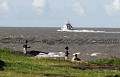 Pour la protection de l’image (UTILISATION INTERDITE SANS AUTORISATION), la photographie n’est pas légendée. Les reportages complets (textes et photos) sont disponibles (sous certaines conditions) auprès du photographe.  