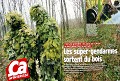 PHOTOGRAPHIES SUR TOUT LE REPORTAGE  
