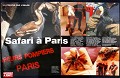 L'ENSEMBLE DES PHOTOGRAPHIES DU REPORTAGE  