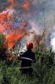 Pour la protection de l’image (UTILISATION INTERDITE SANS AUTORISATION), la photographie n’est pas légendée. Le reportage complet est disponible, sous conditions, auprès du photographe/auteur (LA RESOLUTION BASSE DE L’IMAGE EST VOLONTAIRE)  
