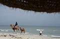 Pour la protection de l’image, la photographie n’est pas légendée. (La basse résolution de l’image est volontaire - UTILISATION et REPRODUCTION INTERDITES SANS AUTORISATION de l’auteur  