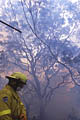 Pour la protection de l’image (UTILISATION INTERDITE SANS AUTORISATION), la photographie n’est pas légendée. Les reportages complets sont disponibles, sous conditions, auprès du photographe/auteur. feu, sydney, australie, pompiers 