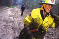 Pour la protection de l’image (UTILISATION INTERDITE SANS AUTORISATION), la photographie n’est pas légendée. Les reportages complets sont disponibles, sous conditions, auprès du photographe/auteur. feu, sydney, australie, pompiers 