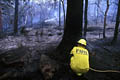 Pour la protection de l’image (UTILISATION INTERDITE SANS AUTORISATION), la photographie n’est pas légendée. Les reportages complets sont disponibles, sous conditions, auprès du photographe/auteur. feu, sydney, australie, pompiers 