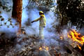 Pour la protection de l’image (UTILISATION INTERDITE SANS AUTORISATION), la photographie n’est pas légendée. Les reportages complets sont disponibles, sous conditions, auprès du photographe/auteur. feu, sydney, australie, pompiers 