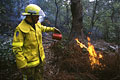Pour la protection de l’image (UTILISATION INTERDITE SANS AUTORISATION), la photographie n’est pas légendée. Les reportages complets sont disponibles, sous conditions, auprès du photographe/auteur. feu, sydney, australie, pompiers 