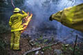 Pour la protection de l’image (UTILISATION INTERDITE SANS AUTORISATION), la photographie n’est pas légendée. Les reportages complets sont disponibles, sous conditions, auprès du photographe/auteur. feu, sydney, australie, pompiers 