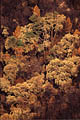 Paysage de terre brulée après le passage du feu feux de forêt, feu, var 