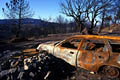 Paysage de terre brulée après le passage du feu feux de forets, feu, var 