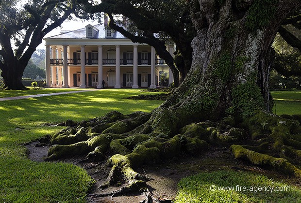 ROUTE DES PLANTATIONS DE LOUISIANE ( extrait du livre)