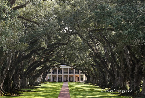 ROUTE DES PLANTATIONS DE LOUISIANE ( extrait du livre)