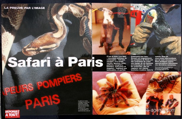 REPONSE A TOUT MAGAZINE