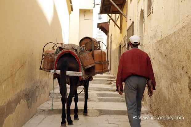 DESTINATION FEZ (MAROC)