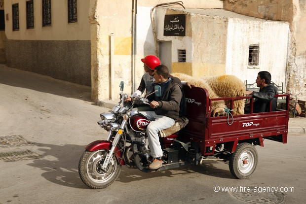 DESTINATION FEZ (MAROC)